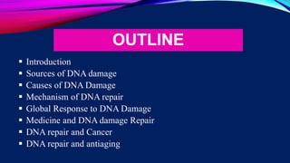 OUTLINE
 Introduction
 Sources of DNA damage
 Causes of DNA Damage
 Mechanism of DNA repair
 Global Response to DNA Damage
 Medicine and DNA damage Repair
 DNA repair and Cancer
 DNA repair and antiaging
 