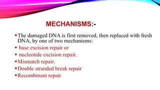 MECHANISMS:-
The damaged DNA is first removed, then replaced with fresh
DNA, by one of two mechanisms:
 base excision repair or
 nucleotide excision repair.
Mismatch repair.
Double stranded break repair
Recombinant repair
 