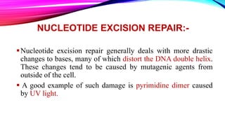 NUCLEOTIDE EXCISION REPAIR:-
Nucleotide excision repair generally deals with more drastic
changes to bases, many of which distort the DNA double helix.
These changes tend to be caused by mutagenic agents from
outside of the cell.
 A good example of such damage is pyrimidine dimer caused
by UV light.
 