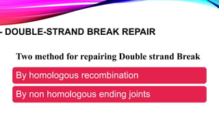 - DOUBLE-STRAND BREAK REPAIR
Two method for repairing Double strand Break
By homologous recombination
By non homologous ending joints
 