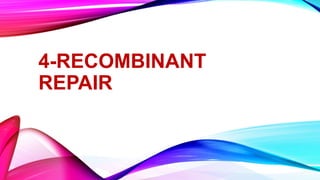 4-RECOMBINANT
REPAIR
 