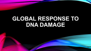 GLOBAL RESPONSE TO
DNA DAMAGE
 