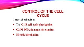 CONTROL OF THE CELL
CYCLE
Three checkpoints:
 The G1/S cell cycle checkpoint
 G2/M DNA damage checkpoint
 Mitosis checkpoint
 
