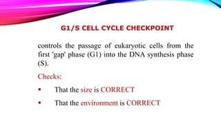 G1/S CELL CYCLE CHECKPOINT
controls the passage of eukaryotic cells from the
first 'gap' phase (G1) into the DNA synthesis phase
(S).
Checks:
 That the size is CORRECT
 That the environment is CORRECT
 