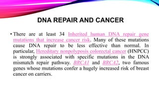DNA REPAIR AND CANCER
• There are at least 34 Inherited human DNA repair gene
mutations that increase cancer risk. Many of these mutations
cause DNA repair to be less effective than normal. In
particular, Hereditary nonpolyposis colorectal cancer (HNPCC)
is strongly associated with specific mutations in the DNA
mismatch repair pathway. BRCA1 and BRCA2, two famous
genes whose mutations confer a hugely increased risk of breast
cancer on carriers.
 