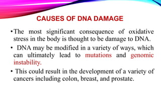 CAUSES OF DNA DAMAGE
•The most significant consequence of oxidative
stress in the body is thought to be damage to DNA.
• DNA may be modified in a variety of ways, which
can ultimately lead to mutations and genomic
instability.
• This could result in the development of a variety of
cancers including colon, breast, and prostate.
 