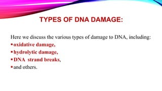 TYPES OF DNA DAMAGE:
Here we discuss the various types of damage to DNA, including:
oxidative damage,
hydrolytic damage,
DNA strand breaks,
and others.
 