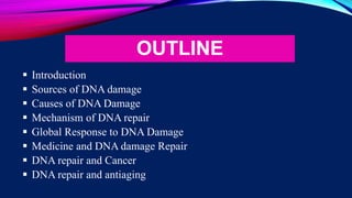 OUTLINE
 Introduction
 Sources of DNA damage
 Causes of DNA Damage
 Mechanism of DNA repair
 Global Response to DNA D...