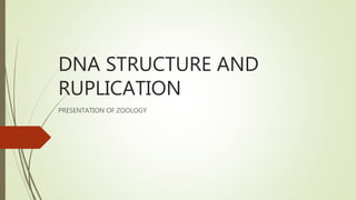 DNA STRUCTURE AND
RUPLICATION
PRESENTATION OF ZOOLOGY
 