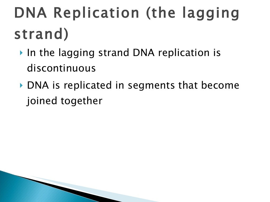 How Does DNA Replicate Itself To Form Your Genes 