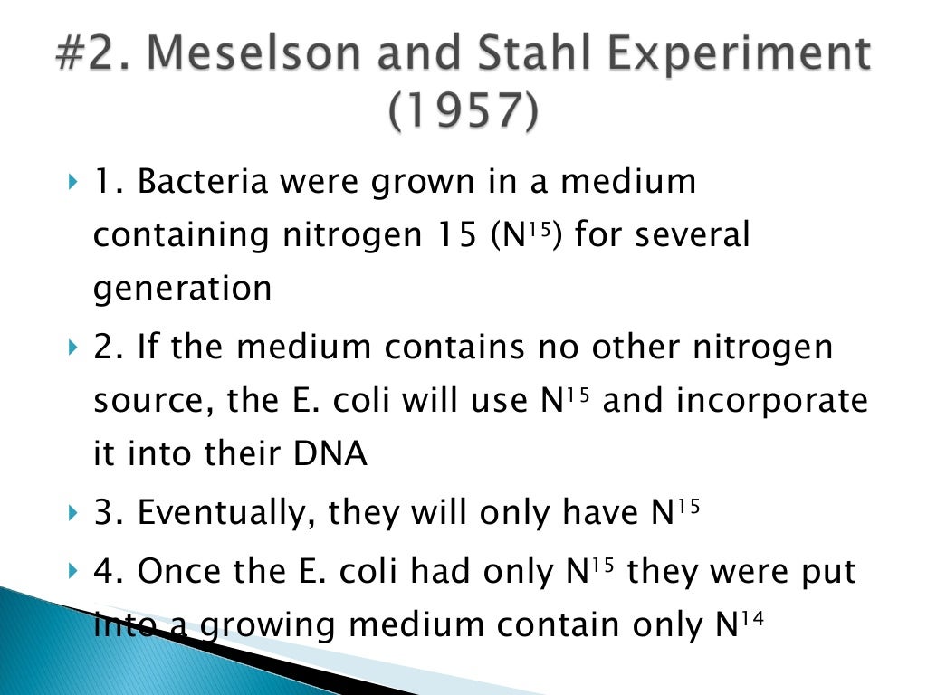 How Does DNA Replicate Itself To Form Your Genes 