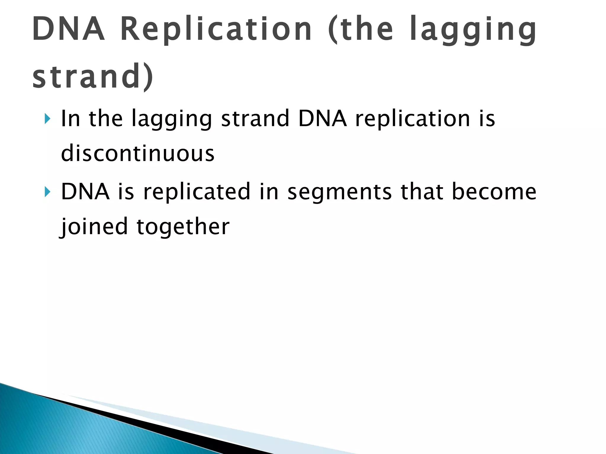 In the lagging strand DNA replication is discontinuous DNA is replicated in segments that become joined together DNA Replication (the lagging strand) 