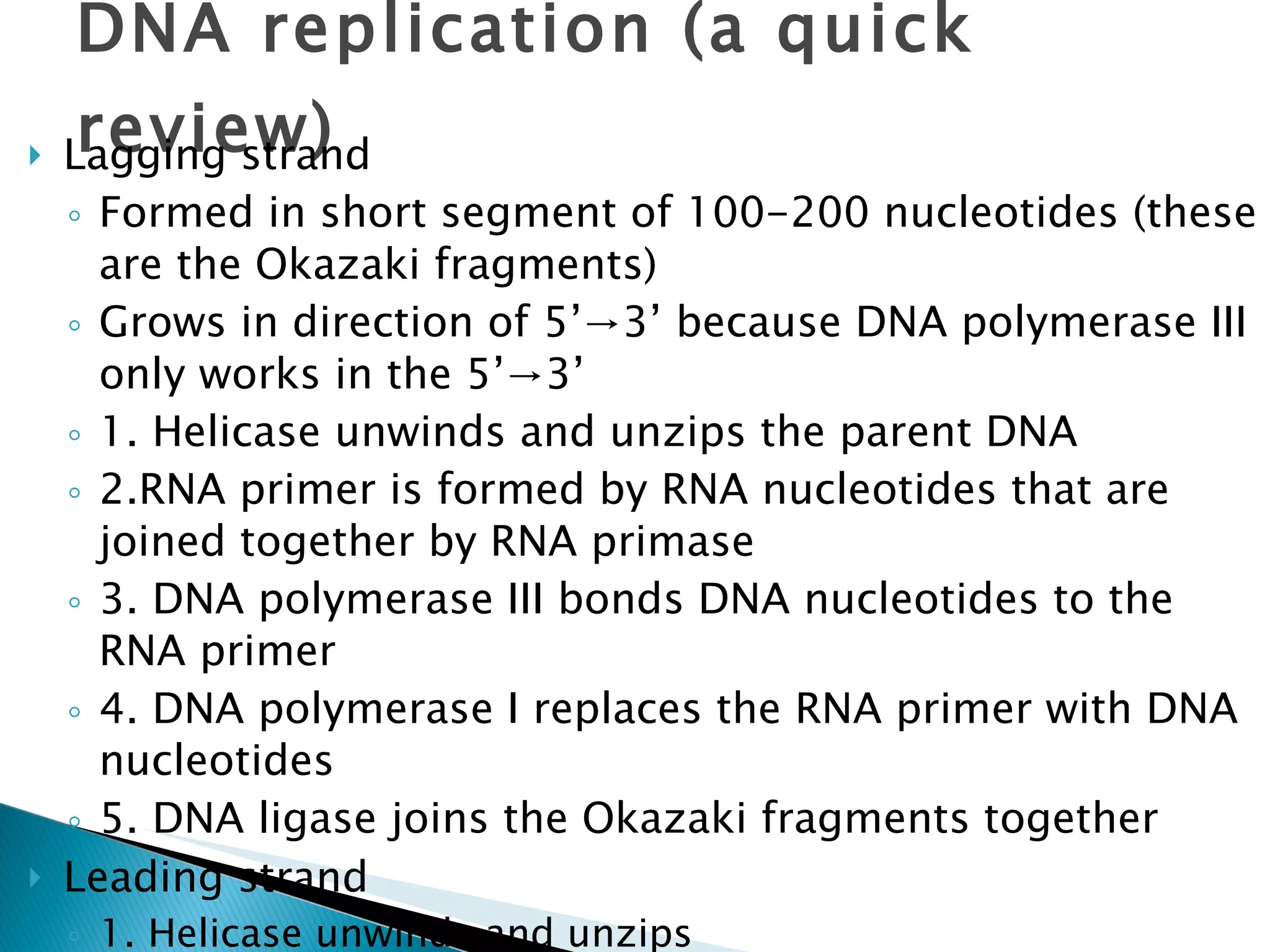 DNA replication (a quick review) Lagging strand Formed in short segment of 100-200 nucleotides (these are the Okazaki fragments) Grows in direction of 5’ ->3’ because DNA polymerase III only works in the  5’ ->3’ 1. Helicase unwinds and unzips the parent DNA 2.RNA primer is formed by RNA nucleotides that are joined together by RNA primase 3. DNA polymerase III bonds DNA nucleotides to the RNA primer 4. DNA polymerase I replaces the RNA primer with DNA nucleotides 5. DNA ligase joins the Okazaki fragments together Leading strand 1. Helicase unwinds and unzips 2. DNA polymerase III adds complimentary DNA nucleotides 