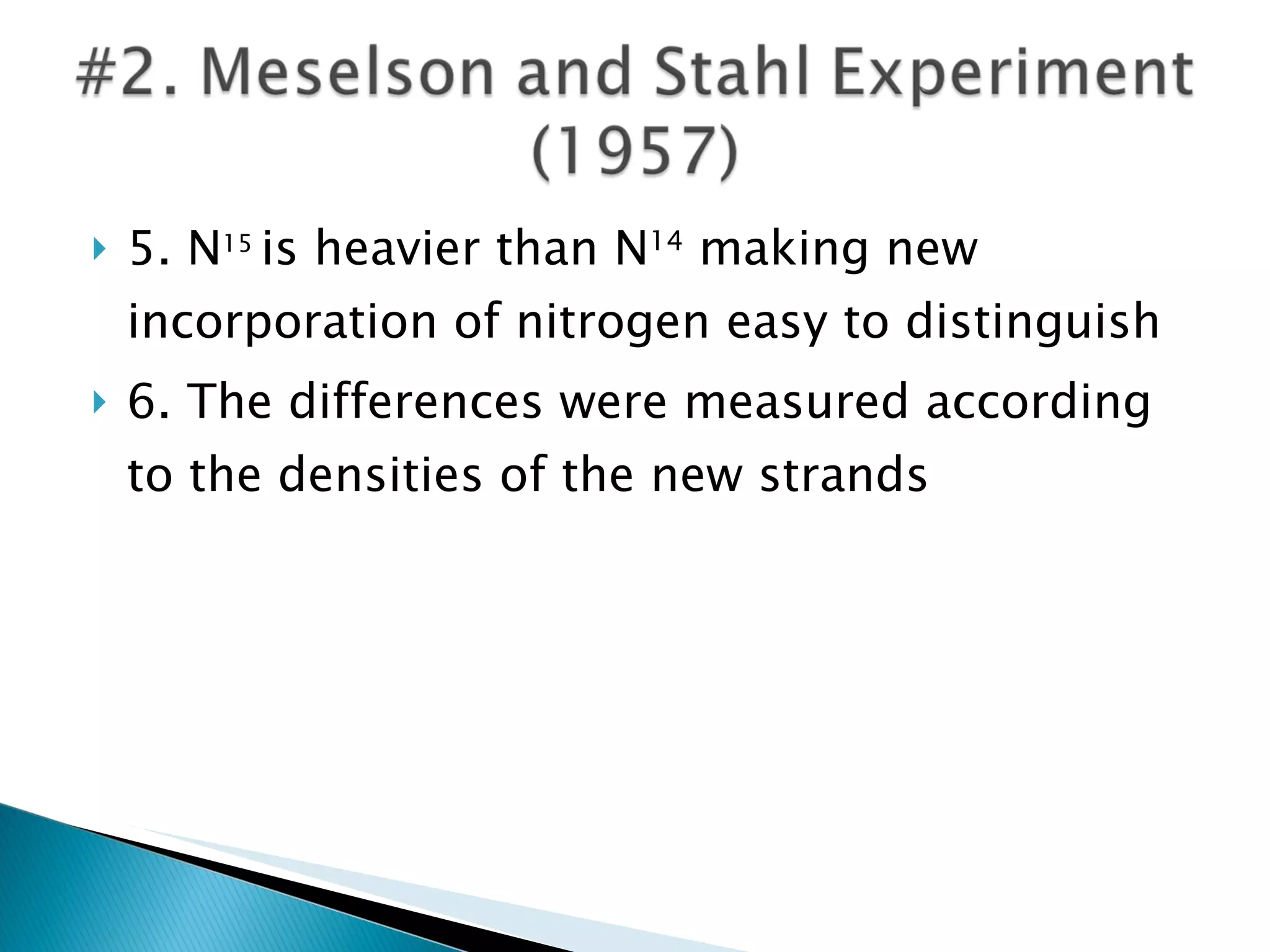5. N 15  is heavier than N 14  making new incorporation of nitrogen easy to distinguish 6. The differences were measured according to the densities of the new strands 