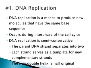 DNA replication is a means to produce new molecules that have the same base sequence Occurs during interphase of the cell cylce DNA replication is semi-conservative The parent DNA strand separates into two Each strand serves as a template for new complementary strands The new double helix is half original 