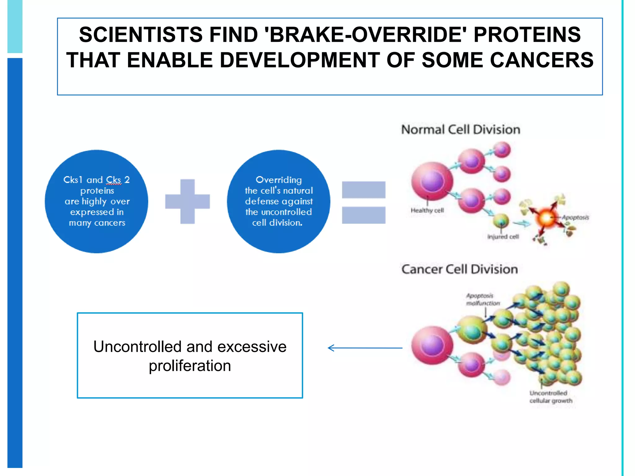 HEBREW U. SCIENTISTS IDENTIFY MOLECULAR BASIS FOR DNA BREAKAGE