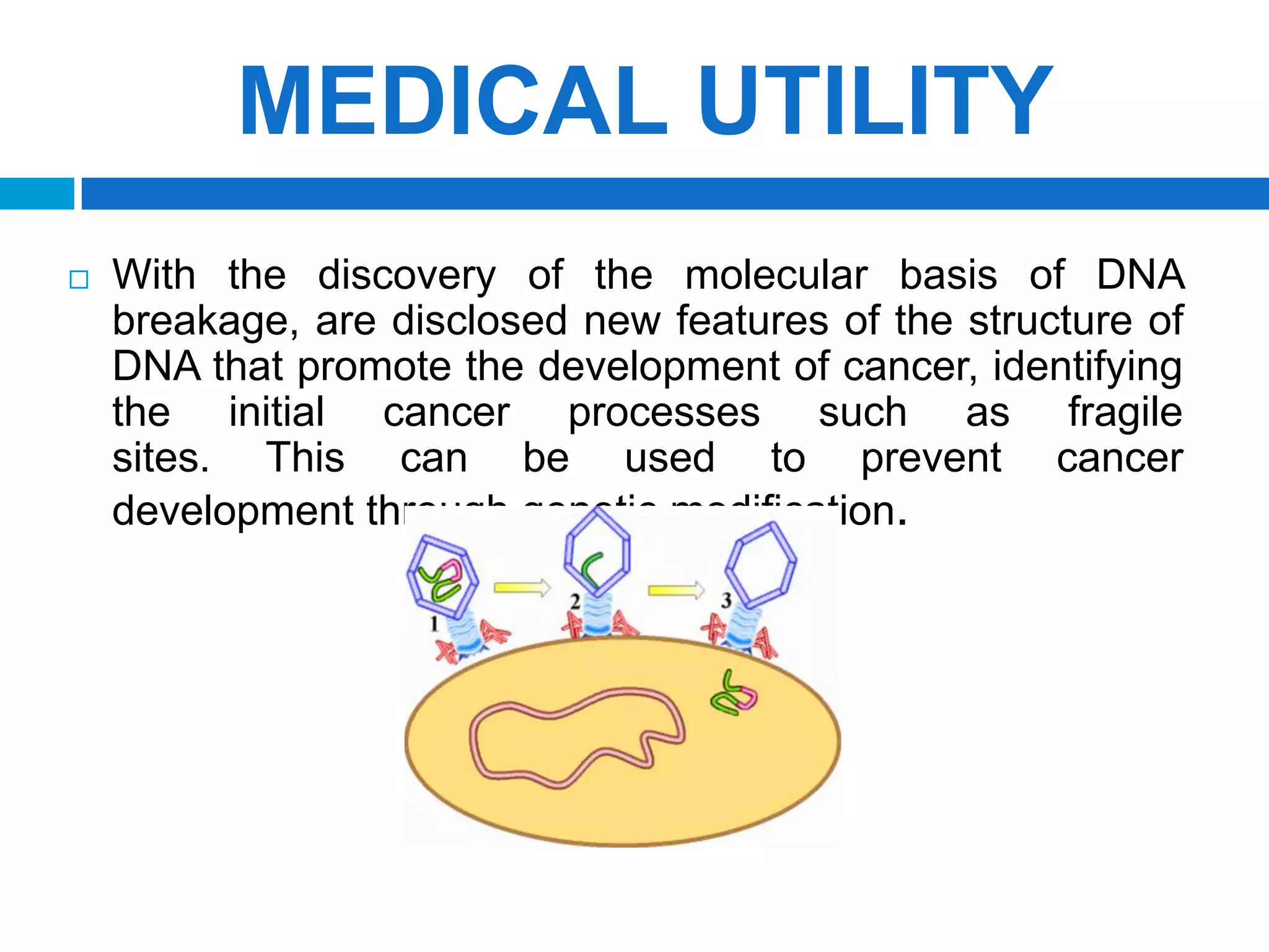 SCIENTISTS FIND 'BRAKE-OVERRIDE' PROTEINS THAT ENABLE DEVELOPMENT OF SOME CANCERSCks 1 and Cks 2 proteins Avoid the checkpoint in the  STAGE ”S” Cells  continuous playback with the damaged genome
