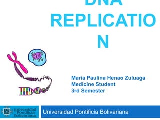 DNA REPLICATION Universidad Pontificia Bolivariana María Paulina Henao Zuluaga Medicine Student 3rd Semester 