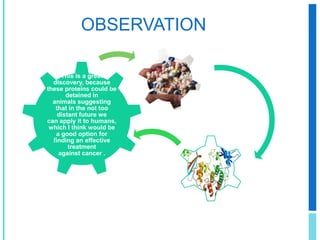 SCIENTISTS FIND 'BRAKE-OVERRIDE' PROTEINS THAT ENABLE DEVELOPMENT OF SOME CANCERS BIOLOGY & NATURE(July 7, 2011)  