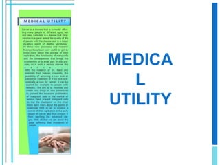 SCIENTISTS FIND 'BRAKE-OVERRIDE' PROTEINS THAT ENABLE DEVELOPMENT OF SOME CANCERSIn normal conditions