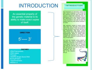 INTRODUCTIONAn essential property of the genetic material is its ability to make exact copies of itself.DIRECTION5’---- 3’ENZYMES DNA Polymerases,