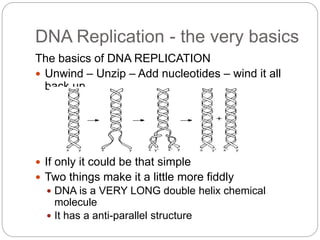 Dna replication | PPTX
