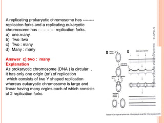 A replicating prokaryotic chromosome has --------
replicaton forks and a replicating eukaryotic
chromosome has ------------ replication forks.
a) one:many
b) Two :two
c) Two : many
d) Many : many
Answer c) two : many
Explanation
As prokaryotic chromosome (DNA ) is circular ,
it has only one origin (ori) of replication
which consists of two Y shaped replication
whereas eukaryotic chromosome is large and
linear having many orgins each of which consists
of 2 replication forks
6/15/2013
23
SolvedMCQDNAREPLICATION
 