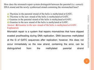 How does the mismatch repair system distinguish between the parental (i.e. correct)
DNA strand and the newly synthesised strand containing the mismatched base?
a) Thymine in the parental strand of the helix is methylated at GATC.
b) Thymine in the new strand of the helix is methylated at GATC.
c) Guanine in the parental strand of the helix is methylated at GATC.
d) Guanine in the new strand of the helix is methylated at GATC.
Answer d) Guanine in the new strand of the helix is methylated at GATC.
Explanation
Mismatch repair is a system that repairs mismatches that have slipped
evaded proofreading during DNA replication. DNA becomes methylated
at the G of GATC sequences after replication; however, this does not
occur immediately so the new strand, containing the error, can be
distinguished from the methylated parental strand
6/15/2013
3
SolvedMCQDNAREPLICATION
 
