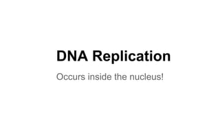 DNA Replication
Occurs inside the nucleus!

 