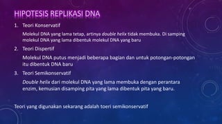 DNA replication | PPTX