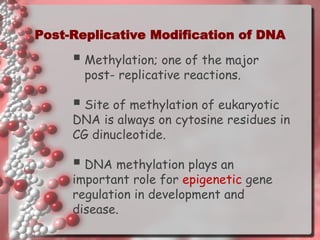 Post Replicative Modification Dna replication | PDF