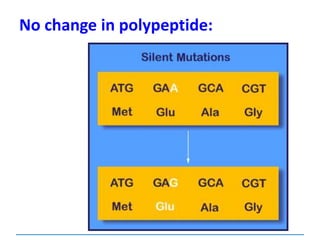 No change in polypeptide:
 