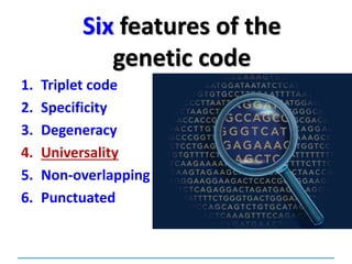 Six features of the
genetic code
1. Triplet code
2. Specificity
3. Degeneracy
4. Universality
5. Non-overlapping
6. Punctuated
 