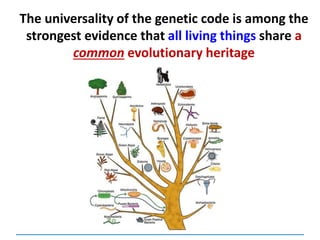 The universality of the genetic code is among the
strongest evidence that all living things share a
common evolutionary heritage
 