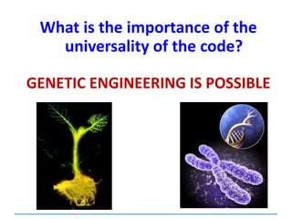 What is the importance of the
universality of the code?
GENETIC ENGINEERING IS POSSIBLE
 