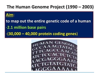 Aim:
to map out the entire genetic code of a human
-2.1 million base pairs
-(30,000 – 40,000 protein coding genes)
The Human Genome Project (1990 – 2003)
 