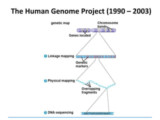 The Human Genome Project (1990 – 2003)
 