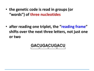 • the genetic code is read in groups (or
“words”) of three nucleotides
• after reading one triplet, the “reading frame”
shifts over the next three letters, not just one
or two
 