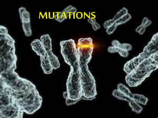 MUTATIONS
 