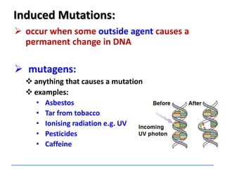 Induced Mutations:
 occur when some outside agent causes a
permanent change in DNA
 mutagens:
 anything that causes a mutation
 examples:
• Asbestos
• Tar from tobacco
• Ionising radiation e.g. UV
• Pesticides
• Caffeine
 