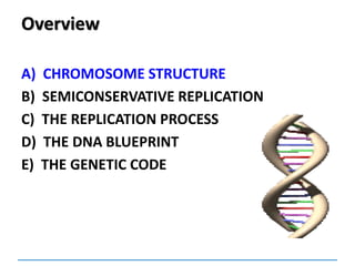 Overview
A) CHROMOSOME STRUCTURE
B) SEMICONSERVATIVE REPLICATION
C) THE REPLICATION PROCESS
D) THE DNA BLUEPRINT
E) THE GENETIC CODE
 