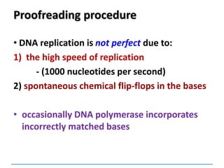 Proofreading procedure
• DNA replication is not perfect due to:
1) the high speed of replication
- (1000 nucleotides per second)
2) spontaneous chemical flip-flops in the bases
• occasionally DNA polymerase incorporates
incorrectly matched bases
 