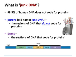 What is ‘junk DNA’?
• 98.5% of human DNA does not code for proteins
• Introns (old name: junk DNA) –
- the regions of DNA that do not code for
proteins
• Exons –
- the sections of DNA that code for proteins
 
