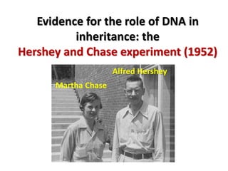 Evidence for the role of DNA in
inheritance: the
Hershey and Chase experiment (1952)
Martha Chase
Alfred Hershey
 