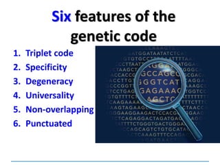 Six features of the
genetic code
1. Triplet code
2. Specificity
3. Degeneracy
4. Universality
5. Non-overlapping
6. Punctuated
 