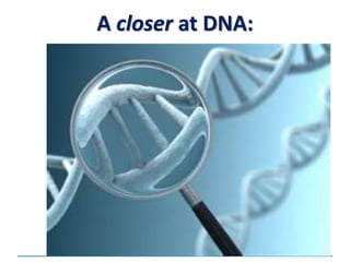 A closer at DNA:
 