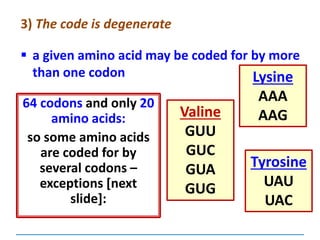 3) The code is degenerate
Valine
GUU
GUC
GUA
GUG
 a given amino acid may be coded for by more
than one codon
64 codons and only 20
amino acids:
so some amino acids
are coded for by
several codons –
exceptions [next
slide]:
Tyrosine
UAU
UAC
Lysine
AAA
AAG
 