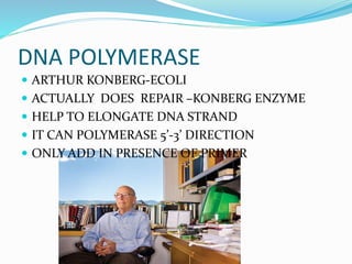 DNA POLYMERASE
 ARTHUR KONBERG-ECOLI
 ACTUALLY DOES REPAIR –KONBERG ENZYME
 HELP TO ELONGATE DNA STRAND
 IT CAN POLYMERASE 5’-3’ DIRECTION
 ONLY ADD IN PRESENCE OF PRIMER
 