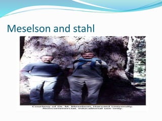 Meselson and stahl
 