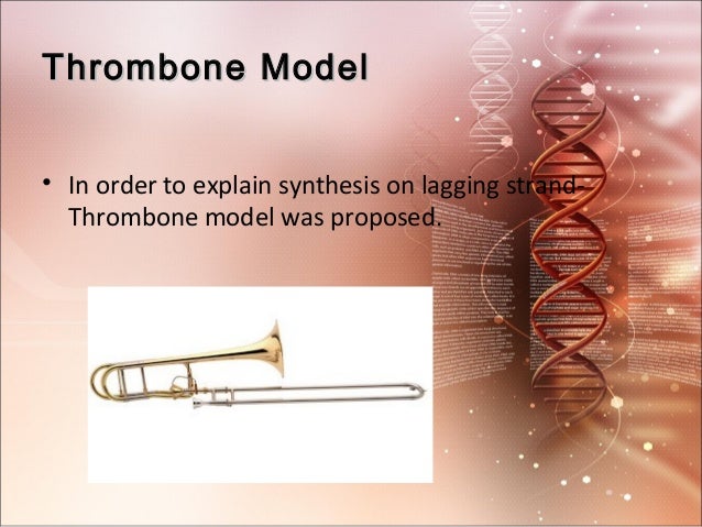 Dna Replication And Enzymes Involved In Dna Replication